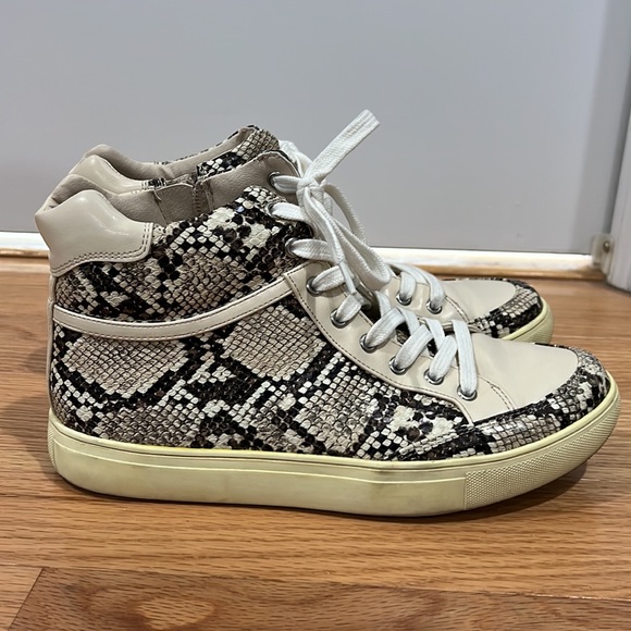 Coconuts - Picture 4 of 4